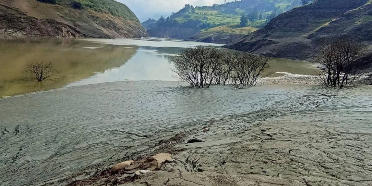 La peor sequía en 60 años en Ecuador genera crisis eléctrica sin precedentes. ¿Qué lecciones puede sacar Chile?