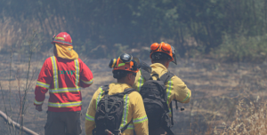 Estas son las 51 comunas que están con ’Botón Rojo’ por amenaza de incendios forestales