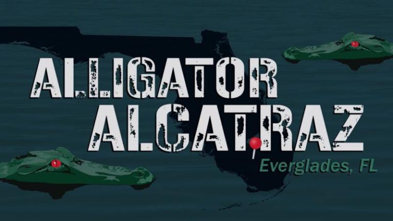 Así será “El Alcatraz de los caimanes” la nueva cárcel para migrantes en Estados Unidos