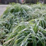 Más de 300 medidores se reventaron por bajas temperaturas en Valdivia