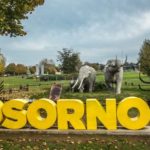 Osorno cumple una semana de emergencias y preemergencias ambientales por mala calidad del aire