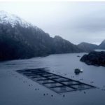 SMA investiga a Australis Mar por derrame de 7 mil litros de petróleo en la Reserva Nacional Kawésqar