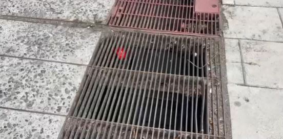 Vecinos denuncian inacción: Alarma lleva cuatro días sonando tras intento de robo en Santiago