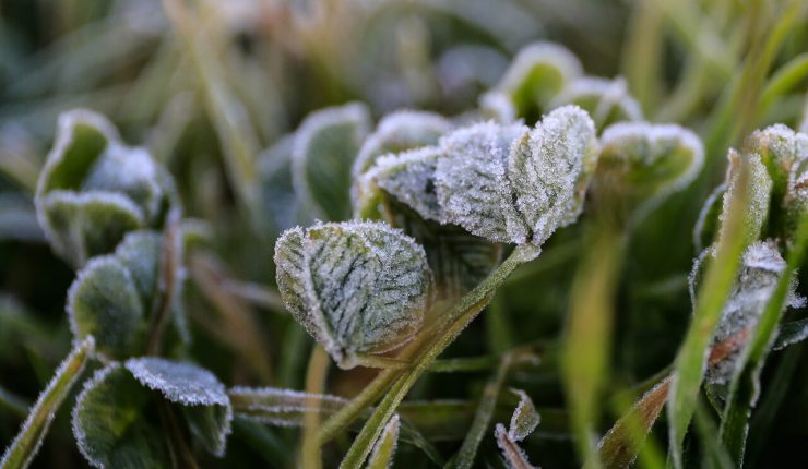 Se esperan hasta -8 °C: Alertan por heladas en diversas regiones del país