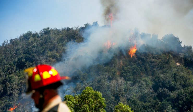 Conaf alerta de posibles incendios forestales en 6 regiones de Chile por altas temperaturas