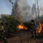 Senapred declara alerta roja en San Fernando por incendio forestal