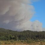 Declaran Alerta Roja en la comuna de San Fernando por incendio forestal