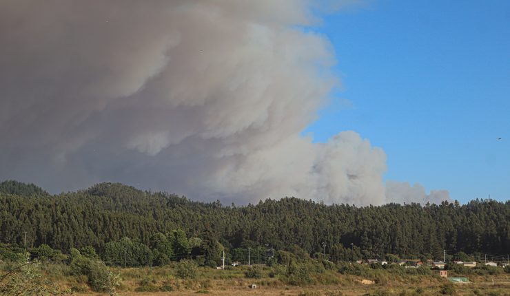 Declaran Alerta Roja en la comuna de San Fernando por incendio forestal