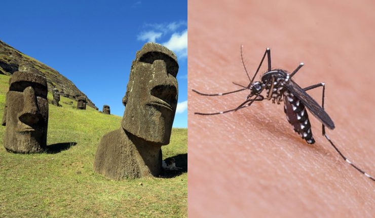 Ministerio de Salud confirma brote de dengue en Rapa Nui: Hay 4 casos positivos y otros 5 sospechosos