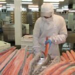 Nuevo plan de acuicultura identifica 68 solicitudes de relocalización para priorizar y reduce regulación para agilizar operaciones