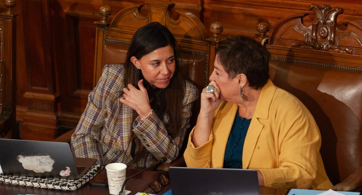 Oposición afirma estar “organizada, unida y fuerte” para hacer frente a la megarreforma en el Senado: rechazarán la idea de legislar
