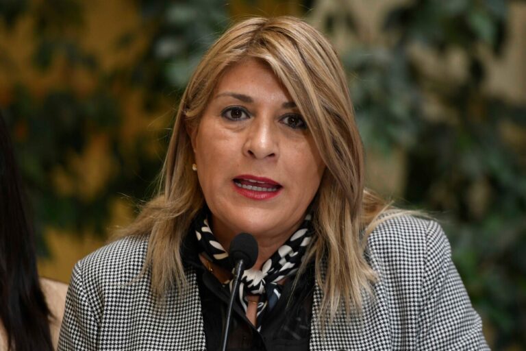 Diputada Parisi valora cierre de investigación por candidatura de Bachelet a la ONU: “Hay que actuar siempre con prudencia”